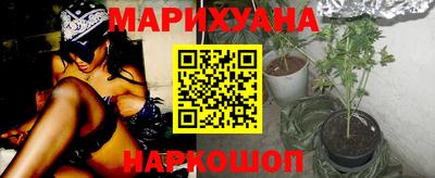 сатива Жуковский