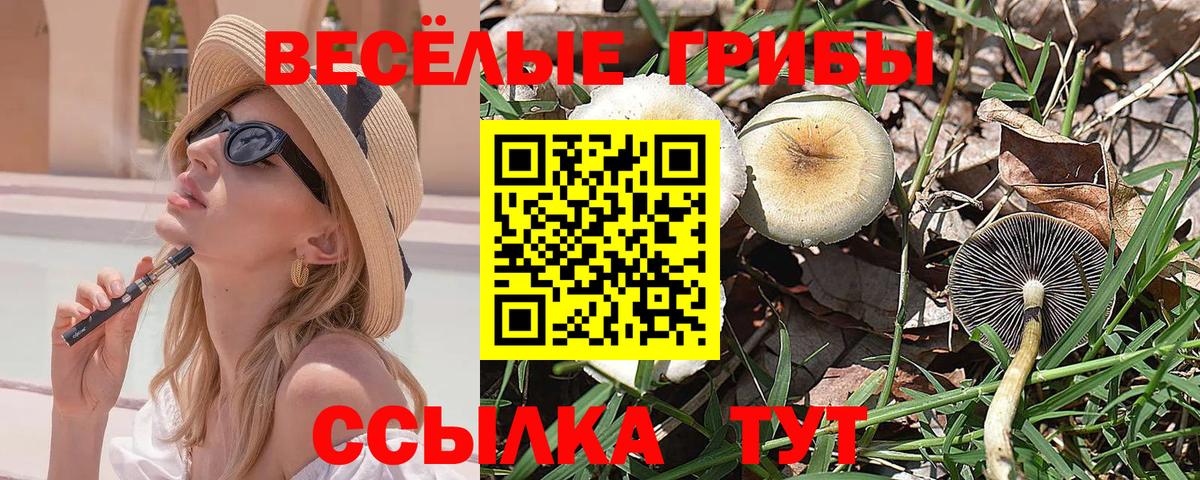 Псилоцибиновые грибы мицелий Маркс