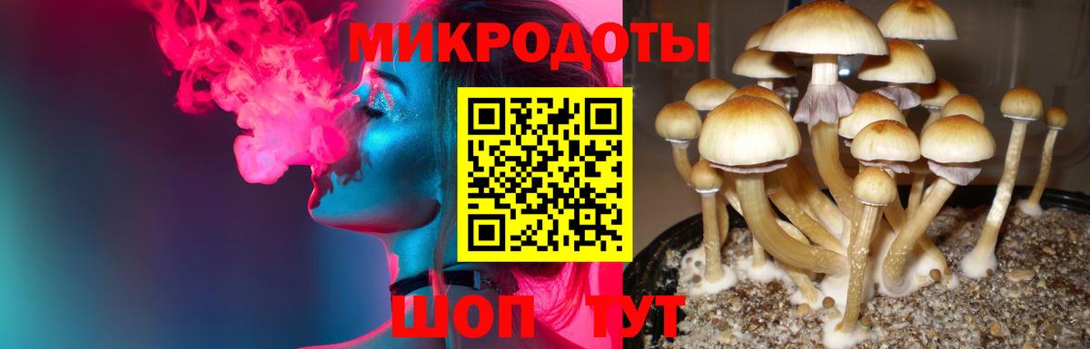наркота  Псилоцибиновые грибы Magic Shrooms  Вход с VPN  Маркс 